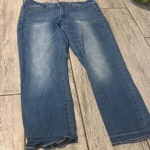 Signature Studio Classic Women’s Frayed Bottom  Jeans  12